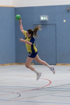 Bild 280 - F HSG Pinnau2 - Rellinger TV2 : Ergebnis: 27:20